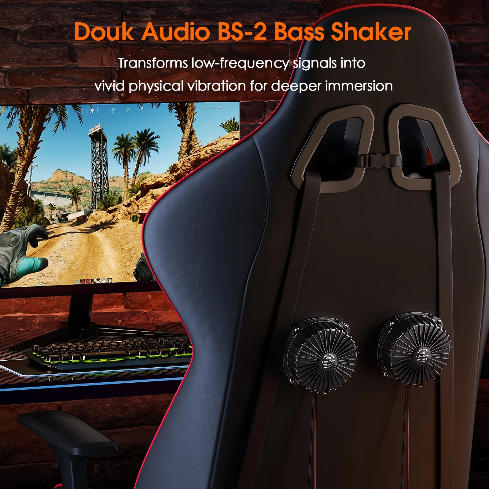 Douk Audio BS-2 30W 4Ω Bass Sh - Home Cinema Equipment 评论和价格