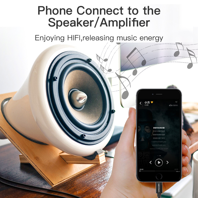 USB C RCA Audio Cable Type-C t - Home Cinema Solution 评论和价格