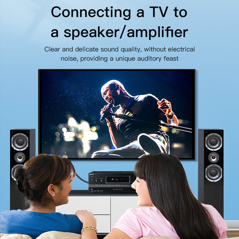 CHOSEAL RCA Cable Digital Coax - Home Cinema Idea 评论和价格